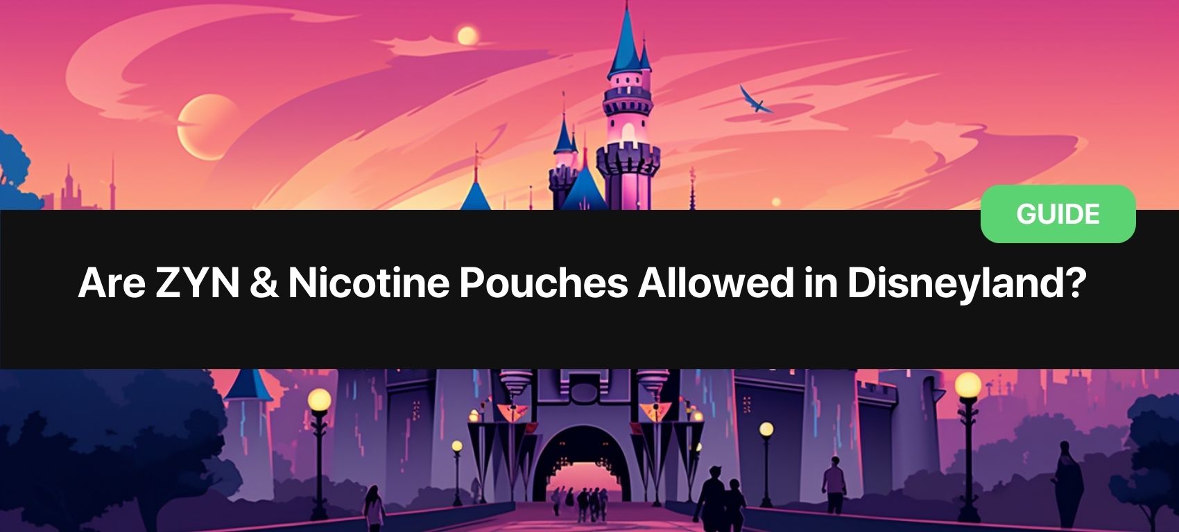 Sind ZYN und Nikotinpouches in Disneyland erlaubt?