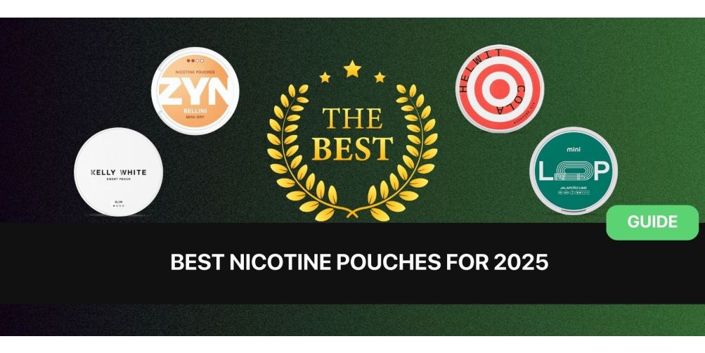 best nicotine pouches for beginners