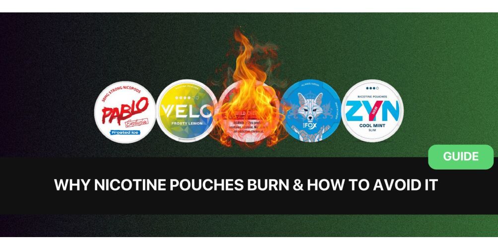 https://dev.snusdaddy.com/media/amasty/blog/cache/w/h/1003/502/why_nicotine_pouches_burn_and_how_to_avoid_it_.jpg